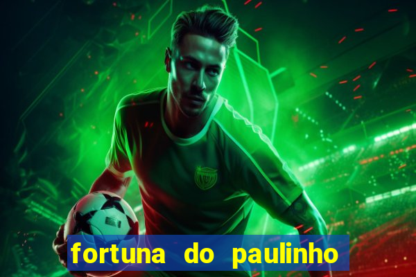 fortuna do paulinho do roupa nova